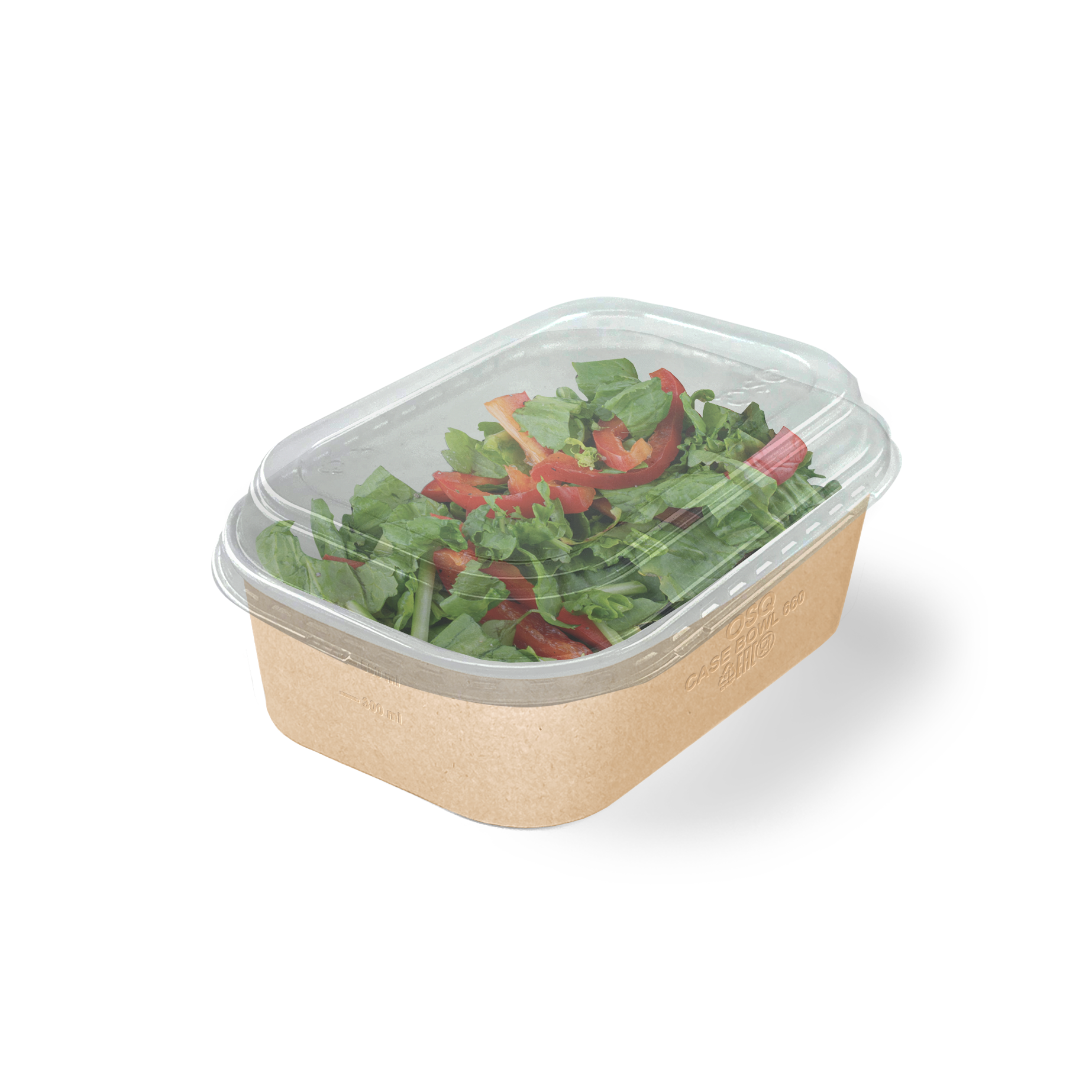 ОСК ёмкость овальная Case Bowl 660 дно (вмест.660мл.) 1/405 (25252)